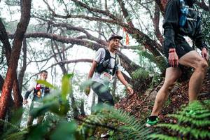 BIB: 
                            <button type="button" onclick="openModal(26295769)" class="btn btn-primary btn-sm float-right btn-popup" data-toggle="modal" data-target=".modal-high-quality">
                        <i class="fas fa-shopping-cart"></i> Add to Cart
                    </button>
                                            <button type="button" onclick="isThisMe(26295769, true)" class="btn btn-success btn-sm float-right btn-popup btn-isme hidden" data-toggle="tooltip" data-placement="bottom" title="นี่คือรูปของคุณใช่ไหม คลิกที่นี่เพื่อเอาเข้าอัลบั้ม">
                        <i class="fas fa-plus"></i> Add to album
                    </button>
                    <button type="button" onclick="isThisMe(26295769, false)" class="btn btn-warning btn-sm float-right btn-popup btn-isnotme hidden">
                        <i class="fas fa-ban"></i> Remove from album
                    </button>